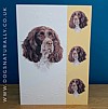 English Springer Dog Card Simply Elegant Range